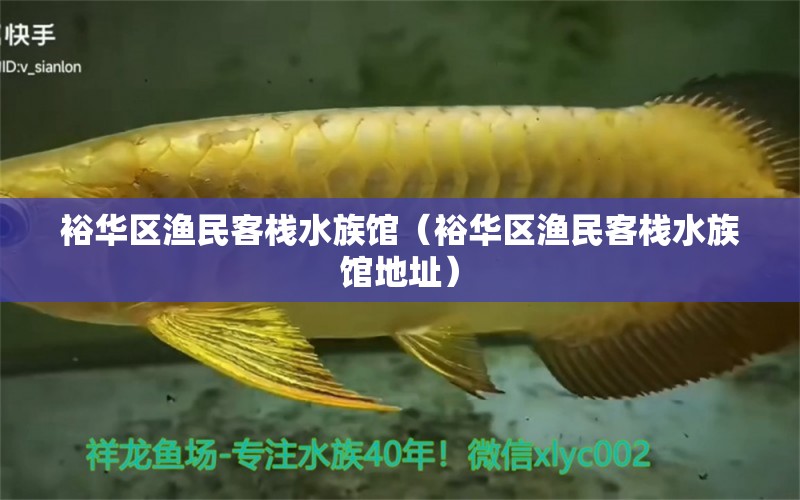 裕華區(qū)漁民客棧水族館（裕華區(qū)漁民客棧水族館地址）