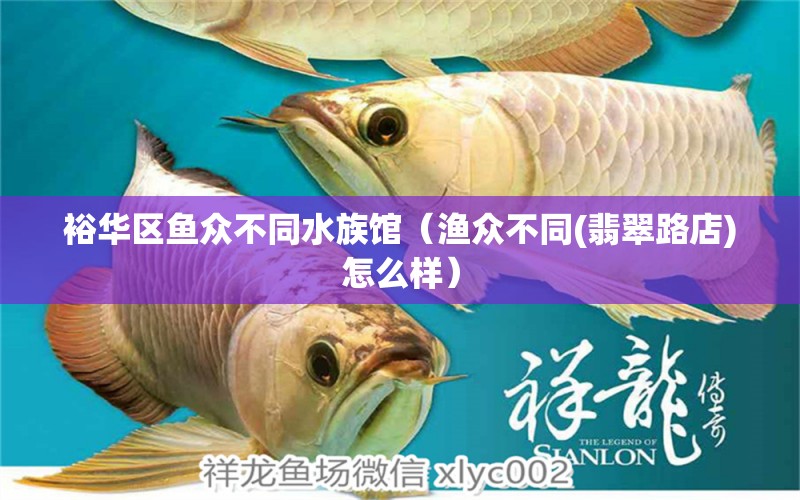 裕華區(qū)魚(yú)眾不同水族館（漁眾不同(翡翠路店)怎么樣）