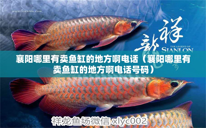 襄陽哪里有賣魚缸的地方啊電話（襄陽哪里有賣魚缸的地方啊電話號碼）