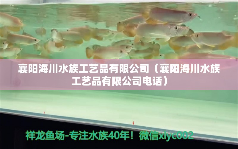 襄陽(yáng)海川水族工藝品有限公司（襄陽(yáng)海川水族工藝品有限公司電話(huà)）