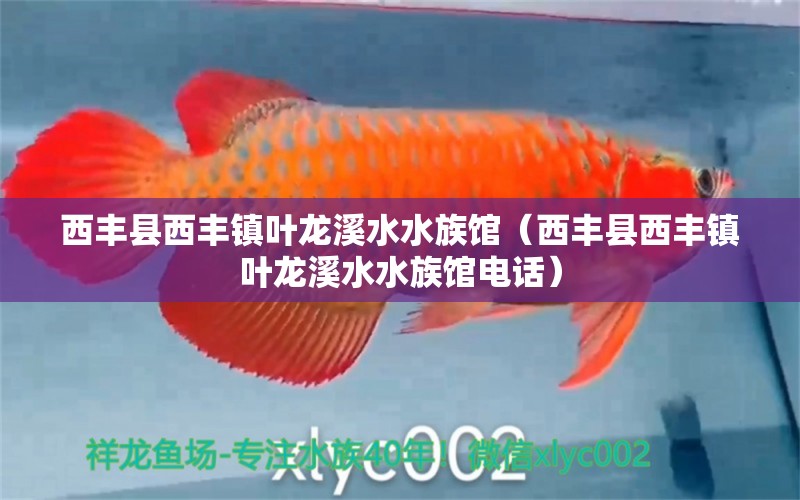 西豐縣西豐鎮(zhèn)葉龍溪水水族館（西豐縣西豐鎮(zhèn)葉龍溪水水族館電話）