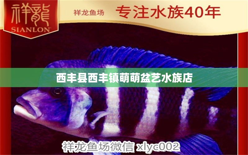 西豐縣西豐鎮(zhèn)萌萌盆藝水族店