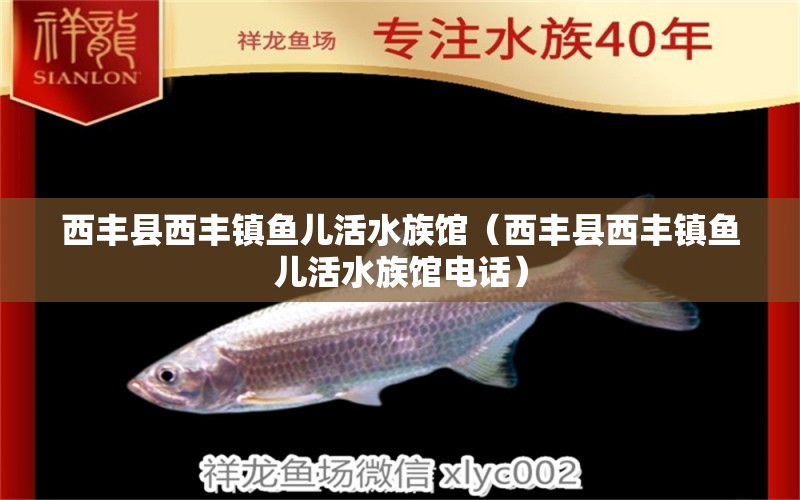 西豐縣西豐鎮(zhèn)魚兒活水族館（西豐縣西豐鎮(zhèn)魚兒活水族館電話）