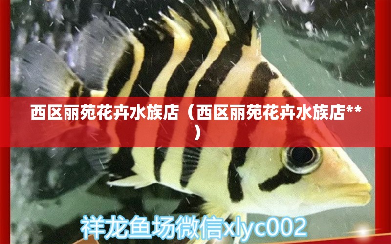 西區(qū)麗苑花卉水族店（西區(qū)麗苑花卉水族店**） 全國水族館企業(yè)名錄