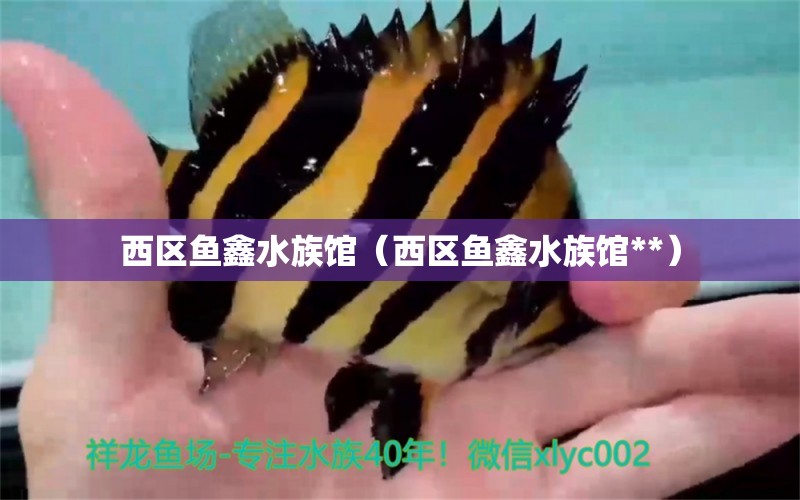 西區(qū)魚鑫水族館（西區(qū)魚鑫水族館**） 全國水族館企業(yè)名錄