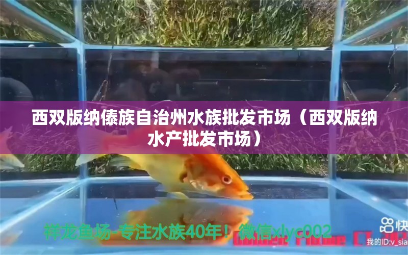 西雙版納傣族自治州水族批發(fā)市場(chǎng)（西雙版納水產(chǎn)批發(fā)市場(chǎng)）