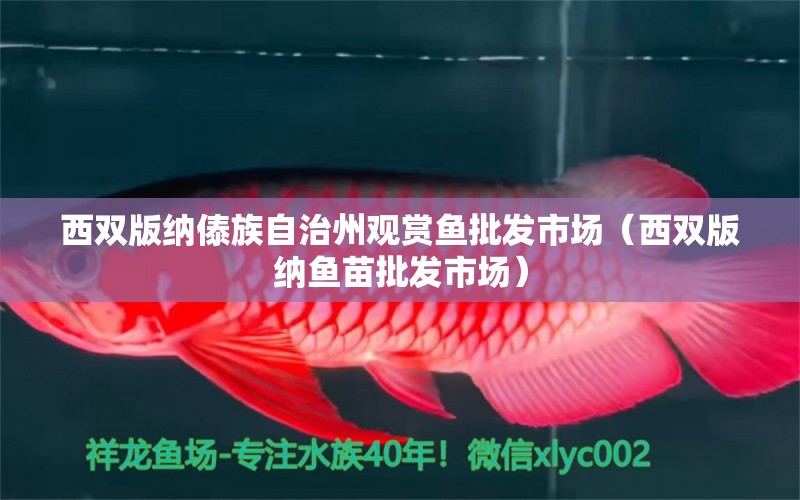 西雙版納傣族自治州觀賞魚批發(fā)市場(chǎng)（西雙版納魚苗批發(fā)市場(chǎng)）