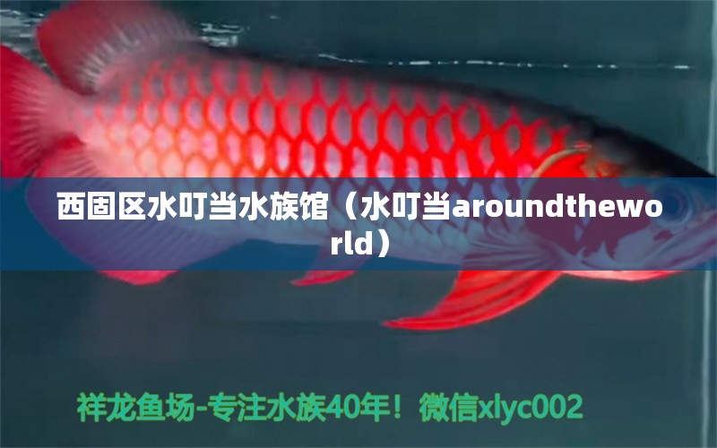 西固區(qū)水叮當(dāng)水族館（水叮當(dāng)aroundtheworld）