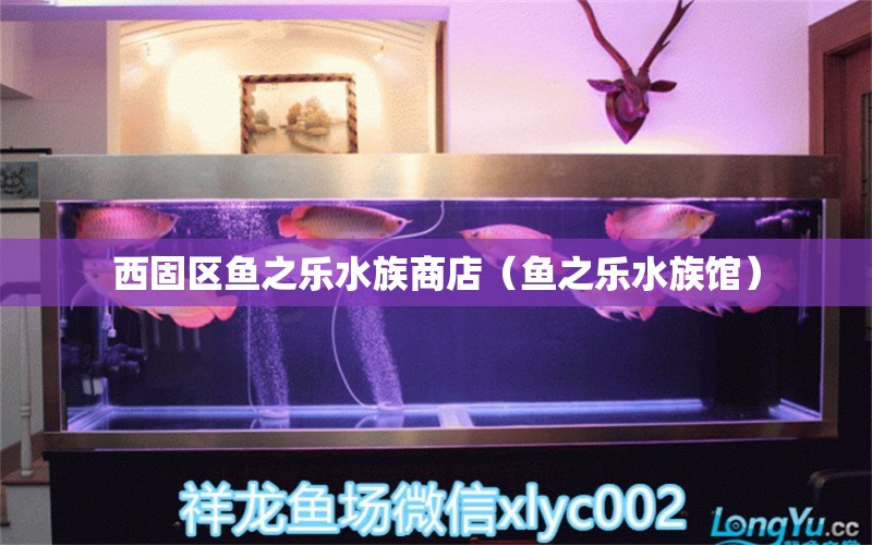 西固區(qū)魚之樂水族商店（魚之樂水族館）