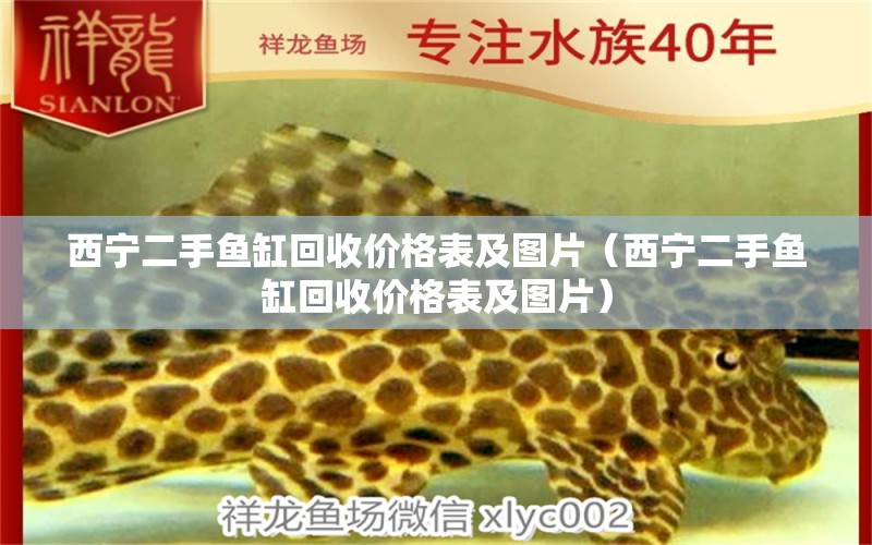 西寧二手魚缸回收價(jià)格表及圖片（西寧二手魚缸回收價(jià)格表及圖片） 觀賞魚