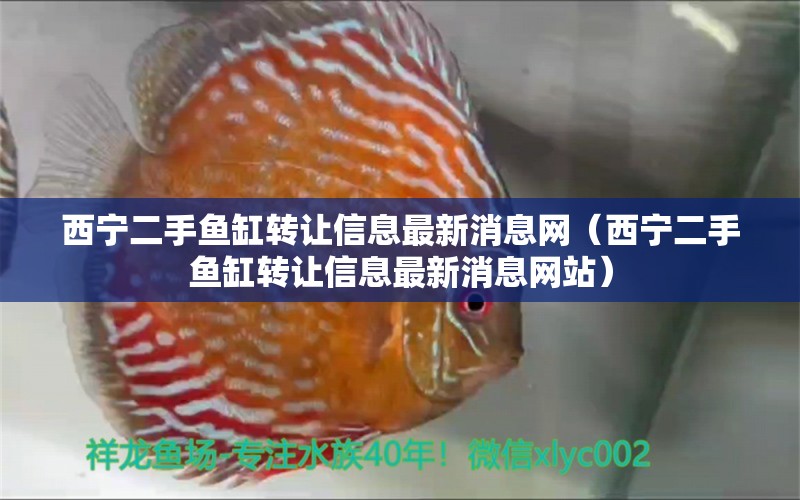 西寧二手魚缸轉(zhuǎn)讓信息最新消息網(wǎng)（西寧二手魚缸轉(zhuǎn)讓信息最新消息網(wǎng)站） 沖氧泵