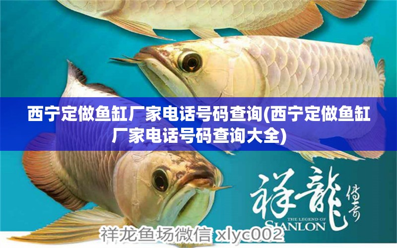 西寧定做魚缸廠家電話號碼查詢(西寧定做魚缸廠家電話號碼查詢大全) 眼斑魚