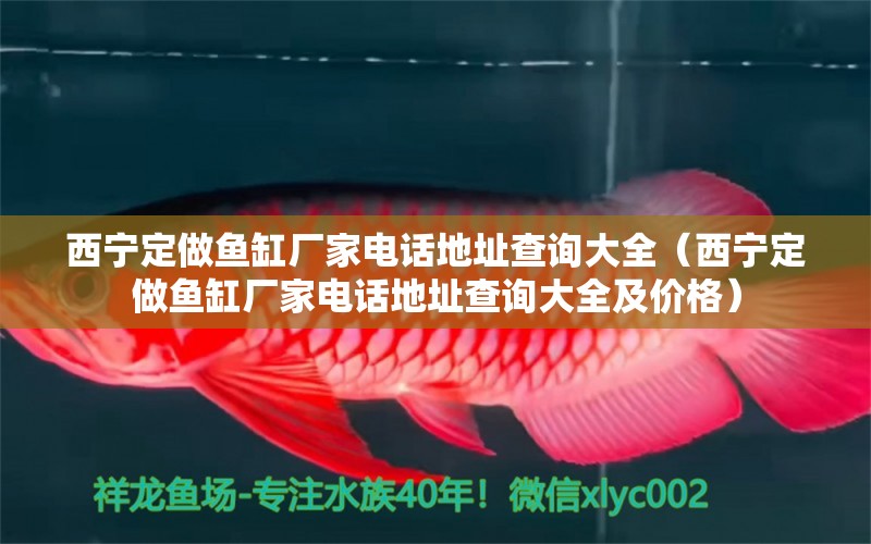 西寧定做魚缸廠家電話地址查詢大全（西寧定做魚缸廠家電話地址查詢大全及價格） 祥龍水族醫(yī)院