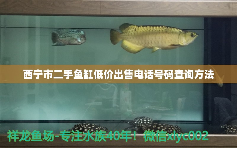 西寧市二手魚(yú)缸低價(jià)出售電話(huà)號(hào)碼查詢(xún)方法