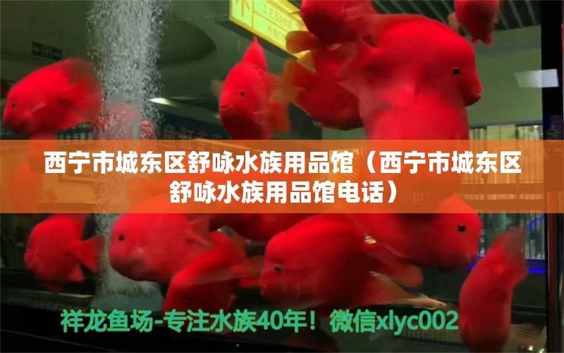 西寧市城東區(qū)舒詠水族用品館（西寧市城東區(qū)舒詠水族用品館電話） 水族用品