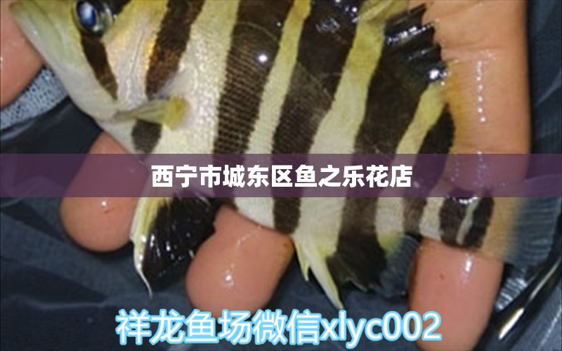 西寧市城東區(qū)魚(yú)之樂(lè)花店 全國(guó)水族館企業(yè)名錄