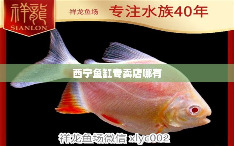 西寧魚缸專賣店哪有 其他品牌魚缸