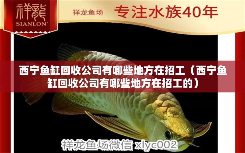 西寧魚(yú)缸回收公司有哪些地方在招工（西寧魚(yú)缸回收公司有哪些地方在招工的） 白玉紅龍魚(yú)