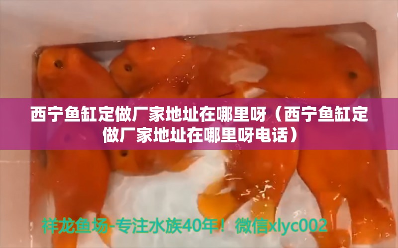 西寧魚缸定做廠家地址在哪里呀（西寧魚缸定做廠家地址在哪里呀電話） 祥龍水族醫(yī)院