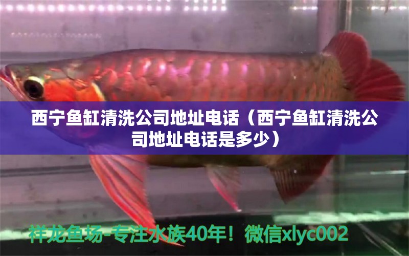 西寧魚缸清洗公司地址電話（西寧魚缸清洗公司地址電話是多少）