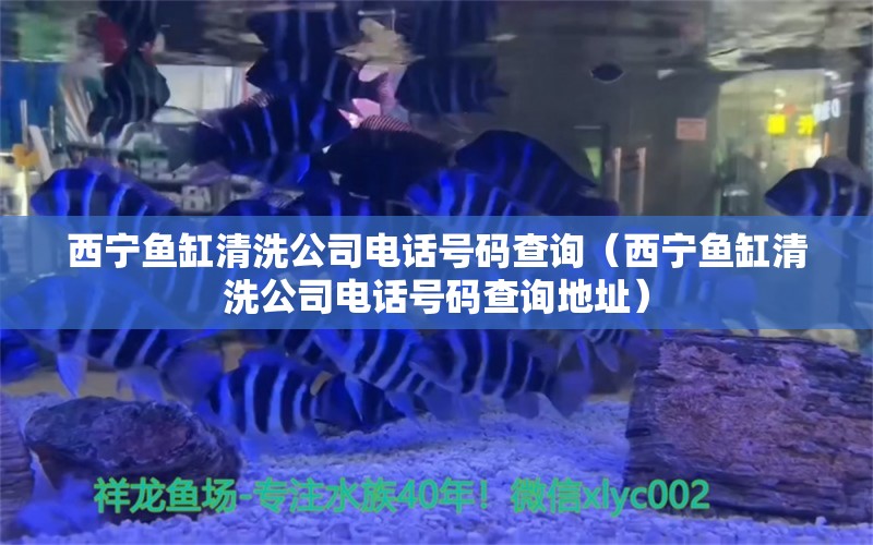 西寧魚缸清洗公司電話號碼查詢（西寧魚缸清洗公司電話號碼查詢地址）