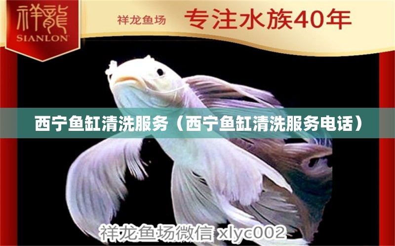 西寧魚缸清洗服務（西寧魚缸清洗服務電話） 其他品牌魚缸