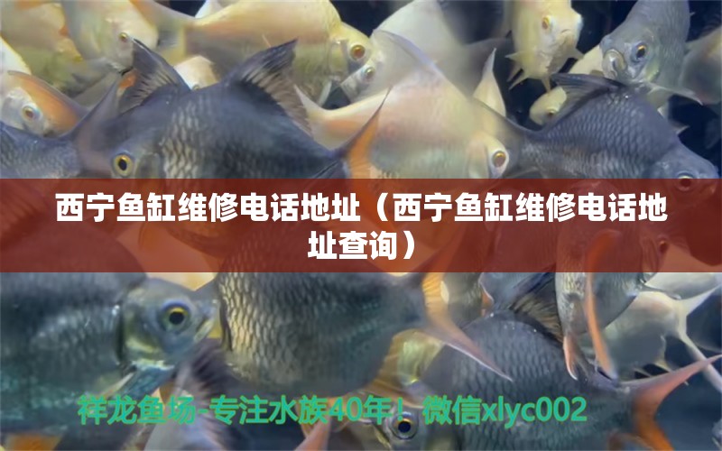 西寧魚缸維修電話地址（西寧魚缸維修電話地址查詢） 其他品牌魚缸