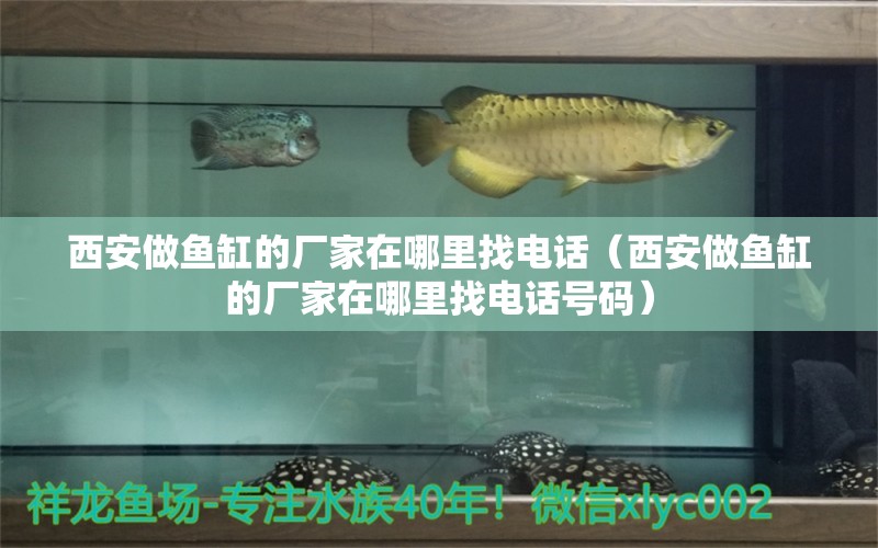 西安做魚缸的廠家在哪里找電話（西安做魚缸的廠家在哪里找電話號(hào)碼）