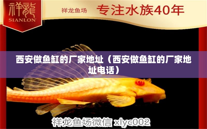 西安做魚缸的廠家地址（西安做魚缸的廠家地址電話）