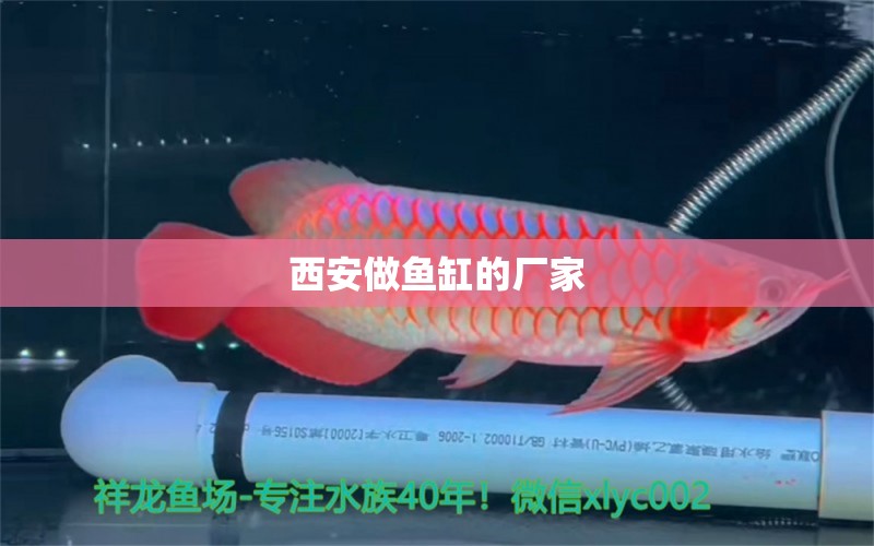 西安做魚缸的廠家