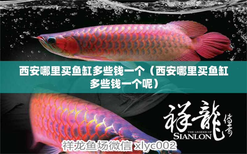 西安哪里買魚缸多些錢一個(gè)（西安哪里買魚缸多些錢一個(gè)呢）