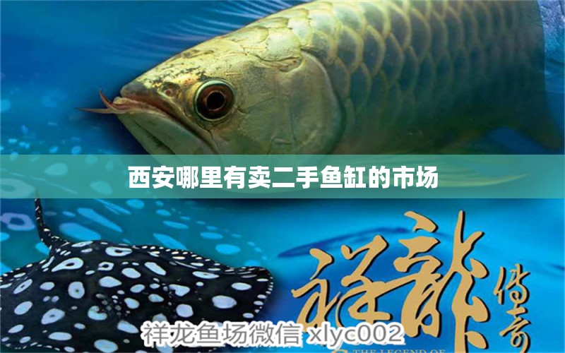 西安哪里有賣二手魚缸的市場