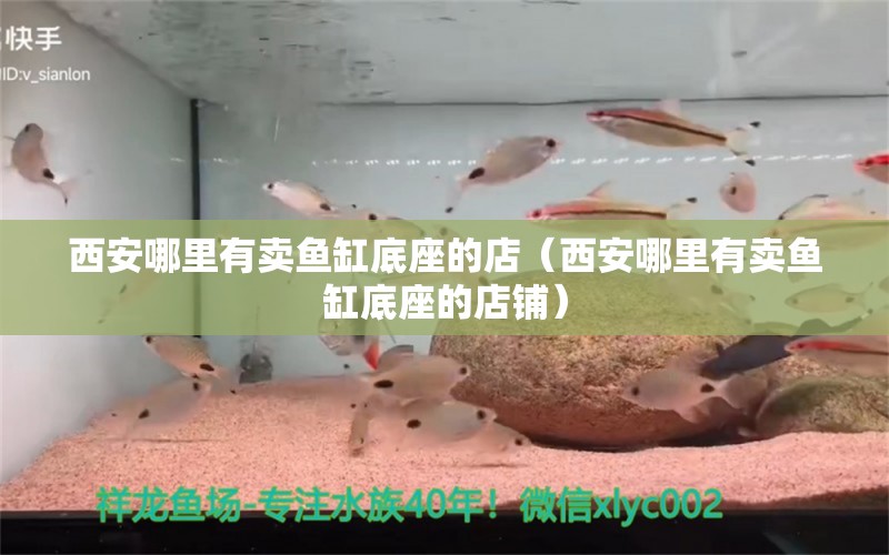 西安哪里有賣(mài)魚(yú)缸底座的店（西安哪里有賣(mài)魚(yú)缸底座的店鋪）