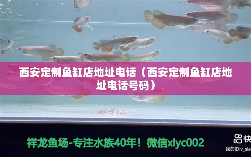 西安定制魚(yú)缸店地址電話（西安定制魚(yú)缸店地址電話號(hào)碼） 委內(nèi)瑞拉奧里諾三間魚(yú)