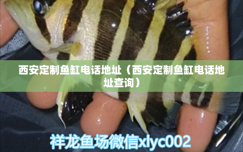 西安定制魚(yú)缸電話地址（西安定制魚(yú)缸電話地址查詢） 量子養(yǎng)魚(yú)技術(shù)