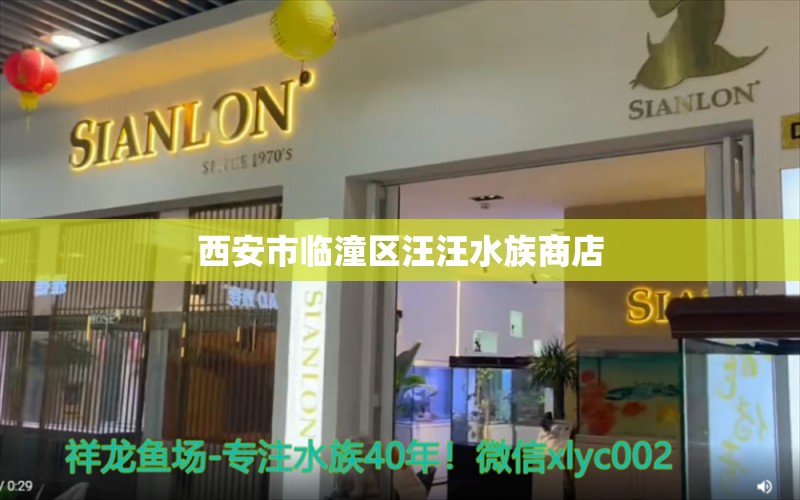 西安市臨潼區(qū)汪汪水族商店