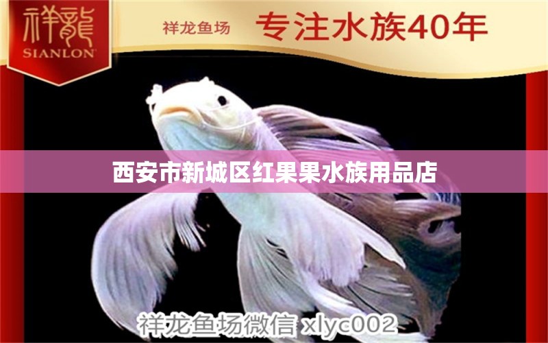 西安市新城區(qū)紅果果水族用品店 全國水族館企業(yè)名錄