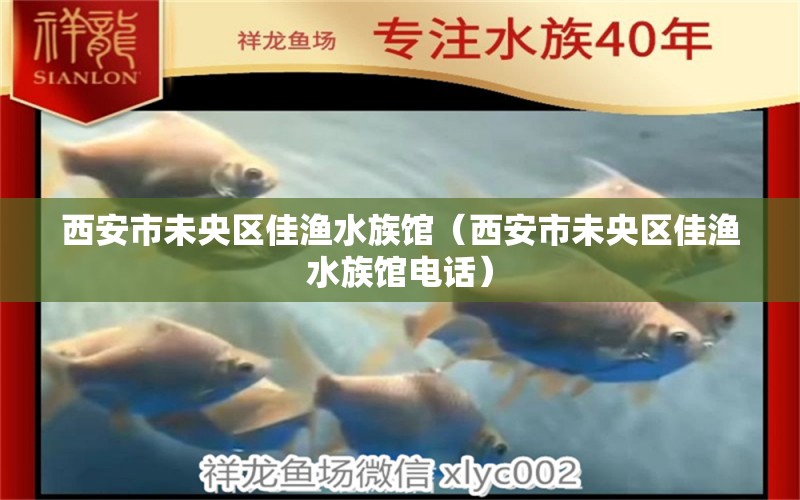 西安市未央?yún)^(qū)佳漁水族館（西安市未央?yún)^(qū)佳漁水族館電話）