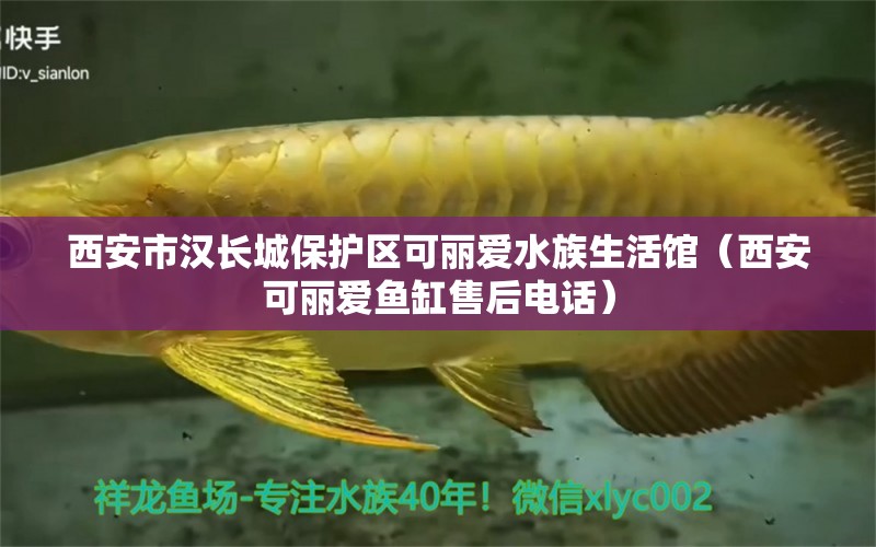 西安市漢長城保護(hù)區(qū)可麗愛水族生活館（西安可麗愛魚缸售后電話）