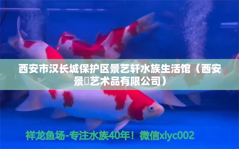 西安市漢長城保護區(qū)景藝軒水族生活館（西安景宬藝術品有限公司） 全國水族館企業(yè)名錄