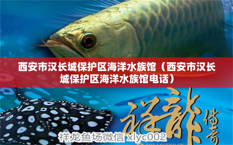 西安市漢長城保護(hù)區(qū)海洋水族館（西安市漢長城保護(hù)區(qū)海洋水族館電話）