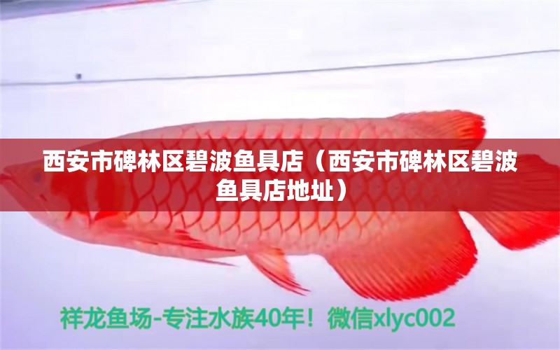 西安市碑林區(qū)碧波魚具店（西安市碑林區(qū)碧波魚具店地址）