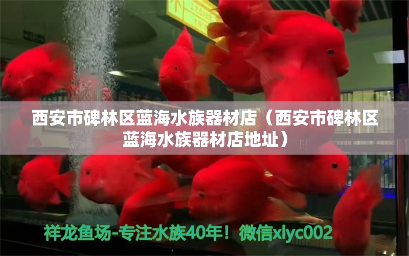 西安市碑林區(qū)藍(lán)海水族器材店（西安市碑林區(qū)藍(lán)海水族器材店地址）