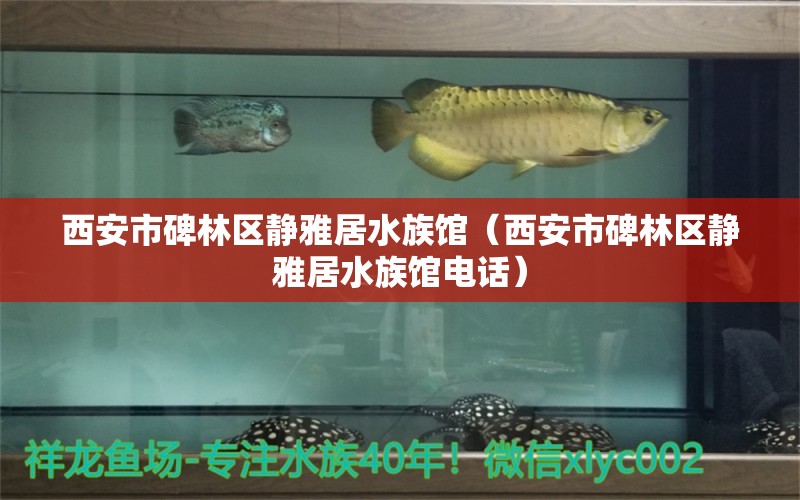 西安市碑林區(qū)靜雅居水族館（西安市碑林區(qū)靜雅居水族館電話）