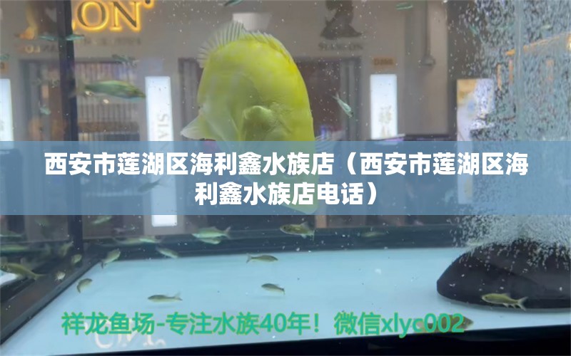 西安市蓮湖區(qū)海利鑫水族店（西安市蓮湖區(qū)海利鑫水族店電話） 全國水族館企業(yè)名錄