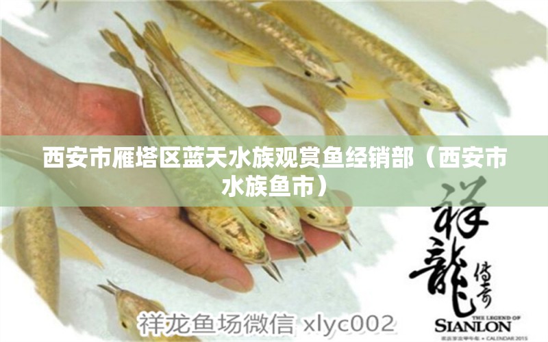 西安市雁塔區(qū)藍(lán)天水族觀賞魚經(jīng)銷部（西安市水族魚市） 全國水族館企業(yè)名錄