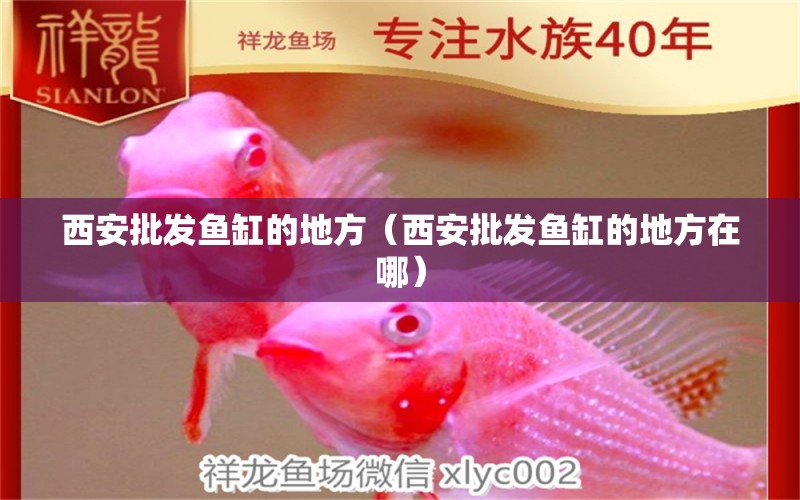 西安批發(fā)魚缸的地方（西安批發(fā)魚缸的地方在哪） 其他品牌魚缸