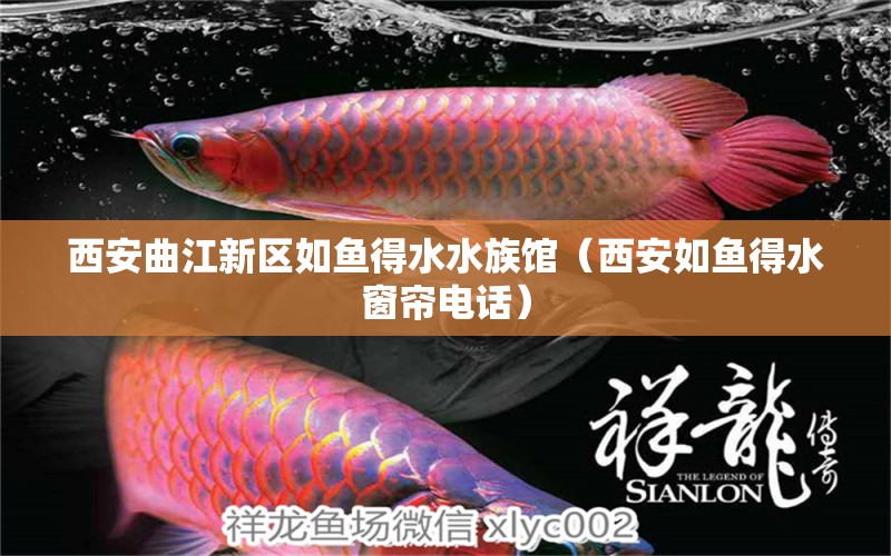 西安曲江新區(qū)如魚得水水族館（西安如魚得水窗簾電話）