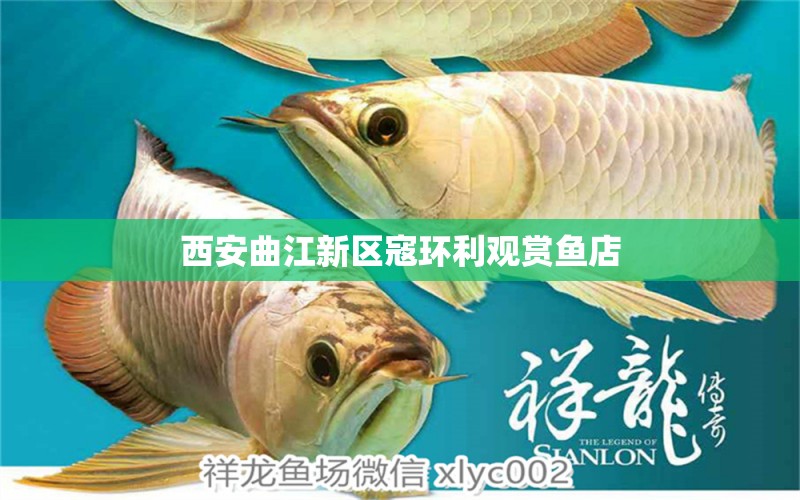 西安曲江新區(qū)寇環(huán)利觀賞魚店 全國水族館企業(yè)名錄