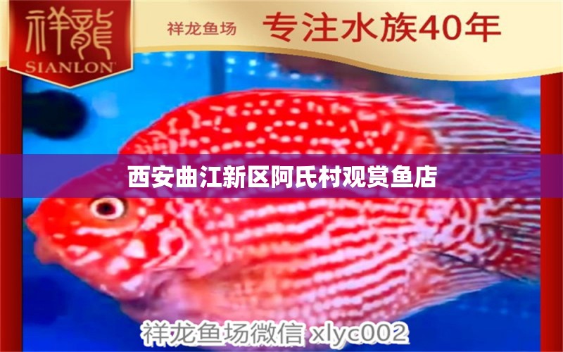 西安曲江新區(qū)阿氏村觀賞魚(yú)店